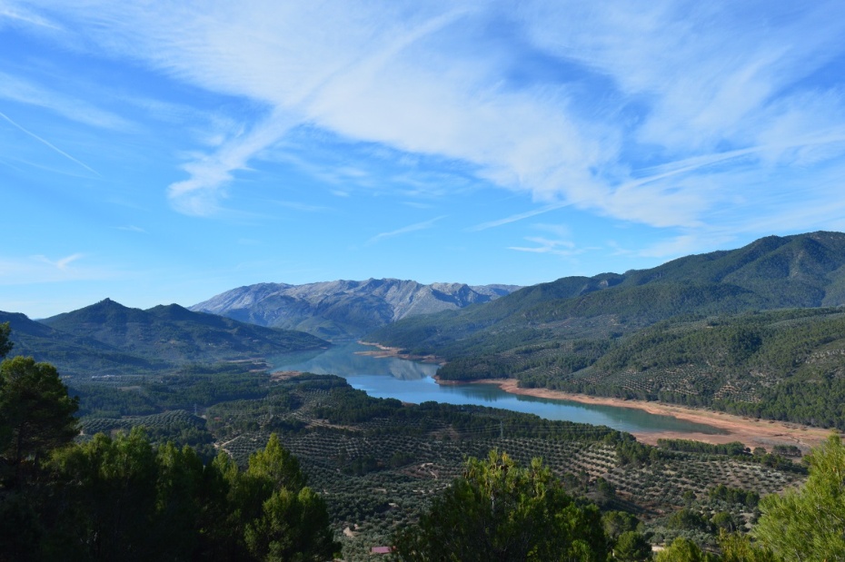 POA-6 VALLE DE SEGURA: OLIVARES DE FRONTERA Y NATURALEZA 1