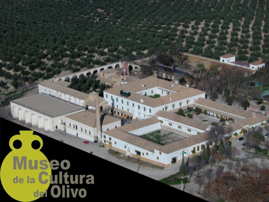 POA-8 HACIENDA DE LA LAGUNA: EL OLIVAR MODERNIZADO 1